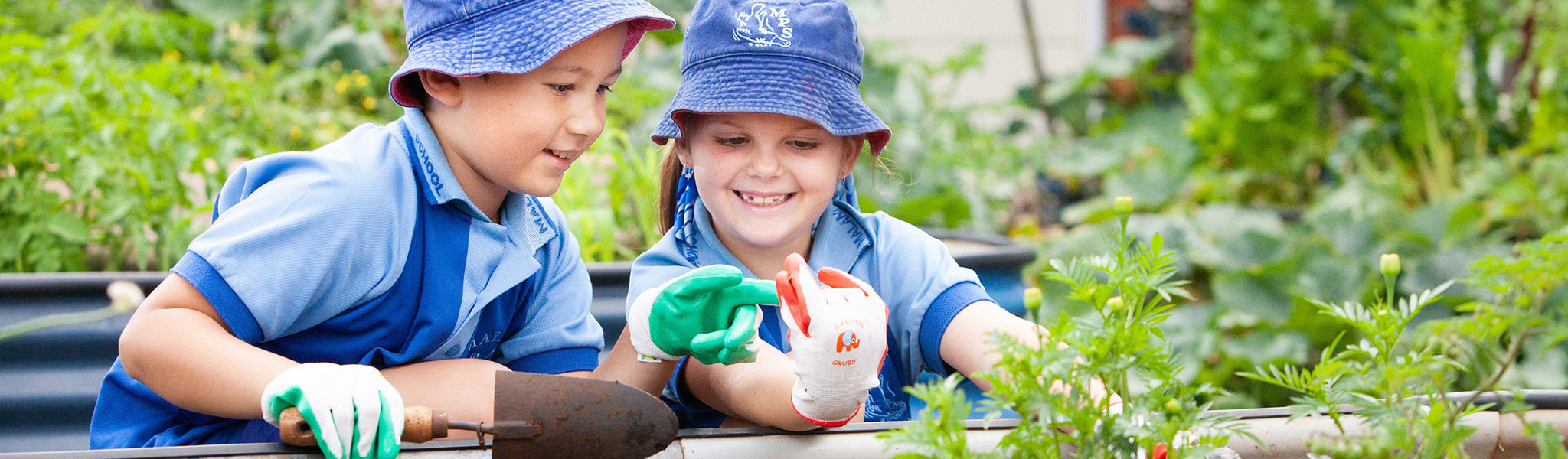 Malanda State School